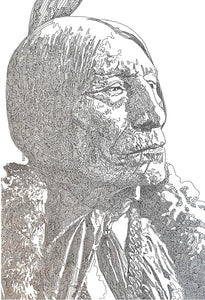 Ho'néhevotoomáhe Chief Wolf Robe